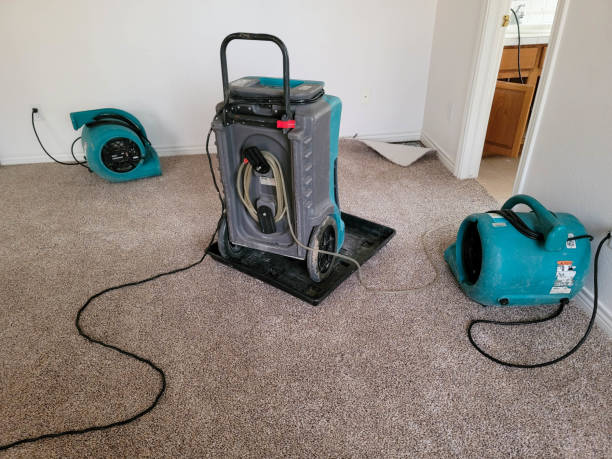 Best Carpet water damage restoration  in Poplar Bluff, MO