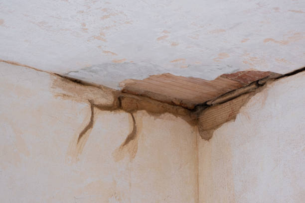 Best Flood restoration services  in Poplar Bluff, MO