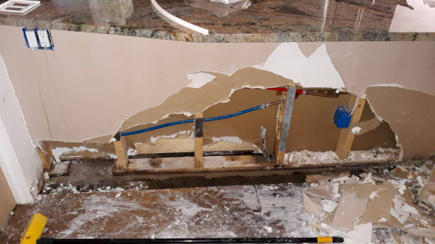 Best Professional water damage repair  in Poplar Bluff, MO