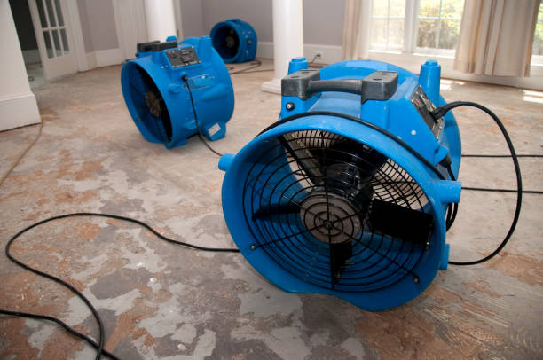 Best Local water damage restoration  in Poplar Bluff, MO