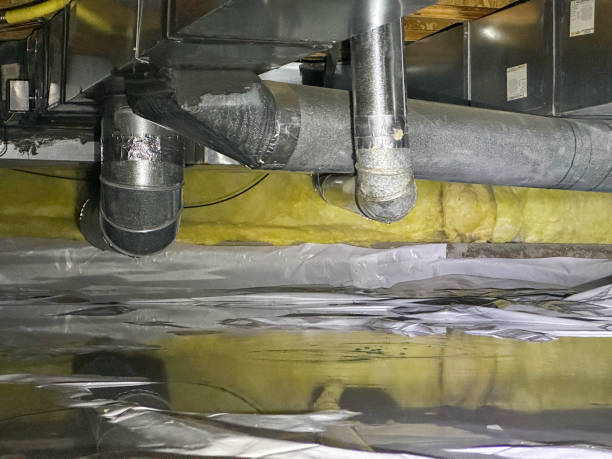 Best Sewage cleanup and water damage restoration  in Poplar Bluff, MO