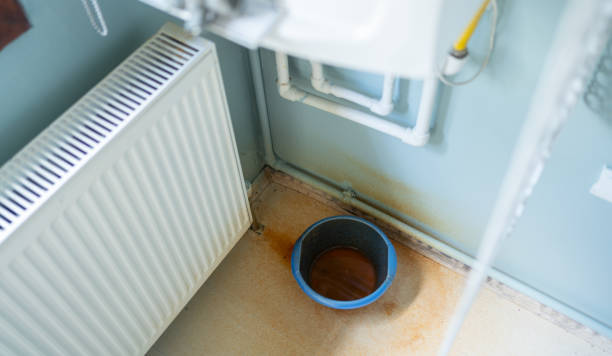 Best Water damage cleanup near me  in Poplar Bluff, MO